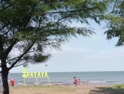 Pesona Pantai Tambak Raya Indramayu