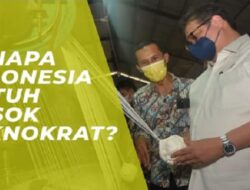 Kenapa Indonesia Butuh Sosok Teknokrat?