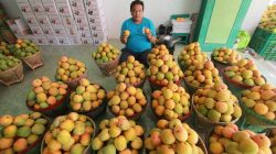 Oleh Oleh Khas Indramayu