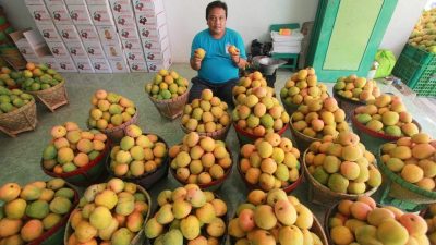 Oleh Oleh Khas Indramayu