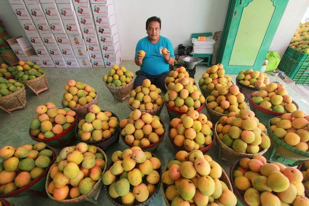 Oleh Oleh Khas Indramayu