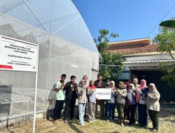Sarana Pengemasan Hidroponik dari Pertamina EP Dukung Daya Saing Petani di Indramayu